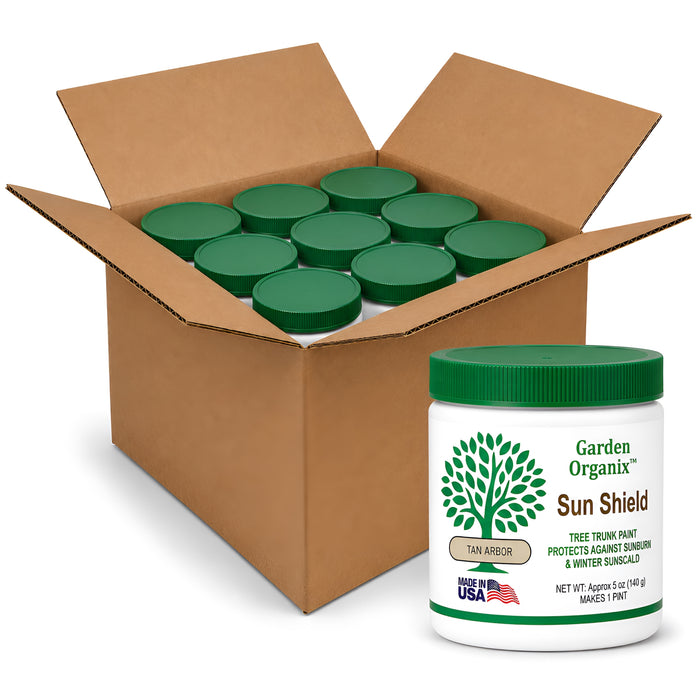 Tan Arbor Tree Paint