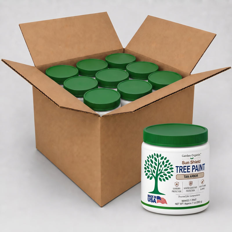 Tan Arbor Tree Paint